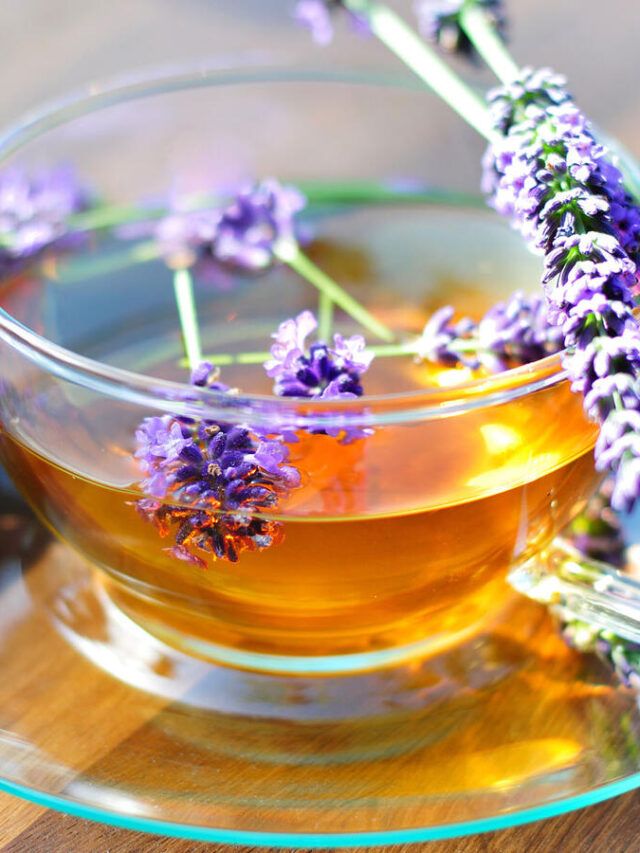 5 Amazing Benefits of Lavender Tea for Relaxation